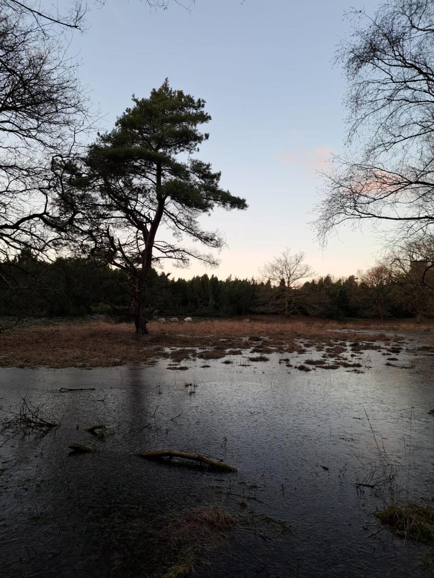 Natuurhuisje Meppen Exterior foto